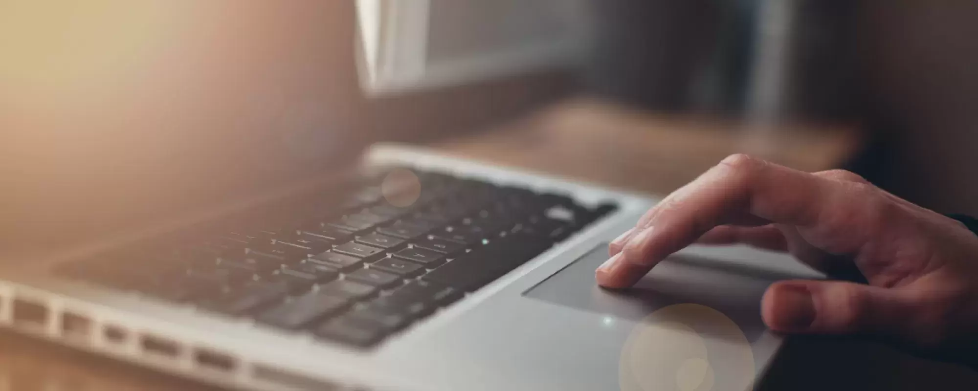 person on laptop
