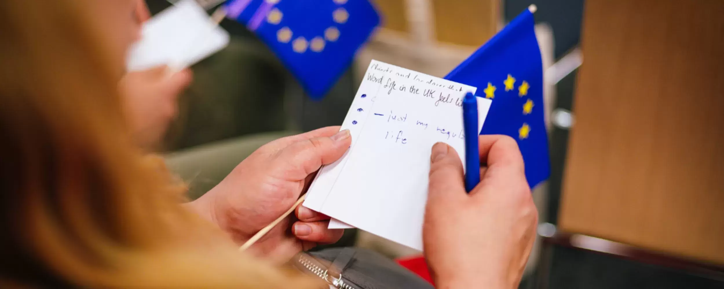 EU Voices