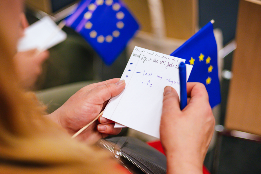 EU Voices